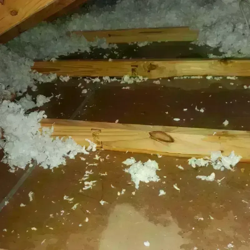 Attic Water Damage in Patton Village, TX